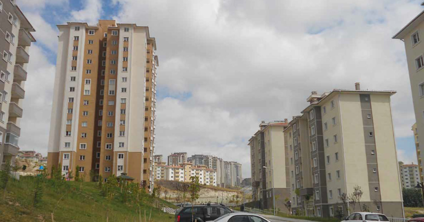 Yapracık 3
