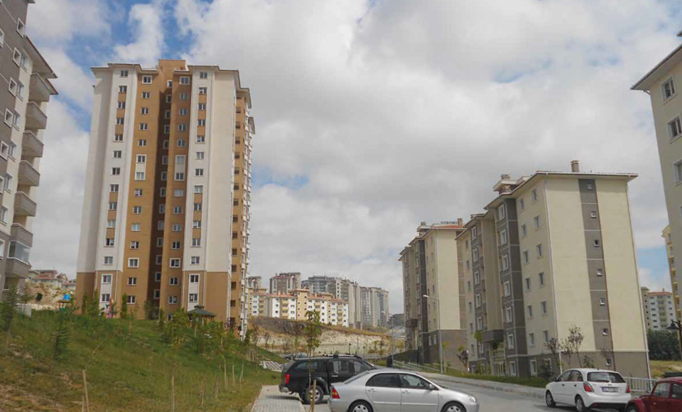 Yapracık 3
